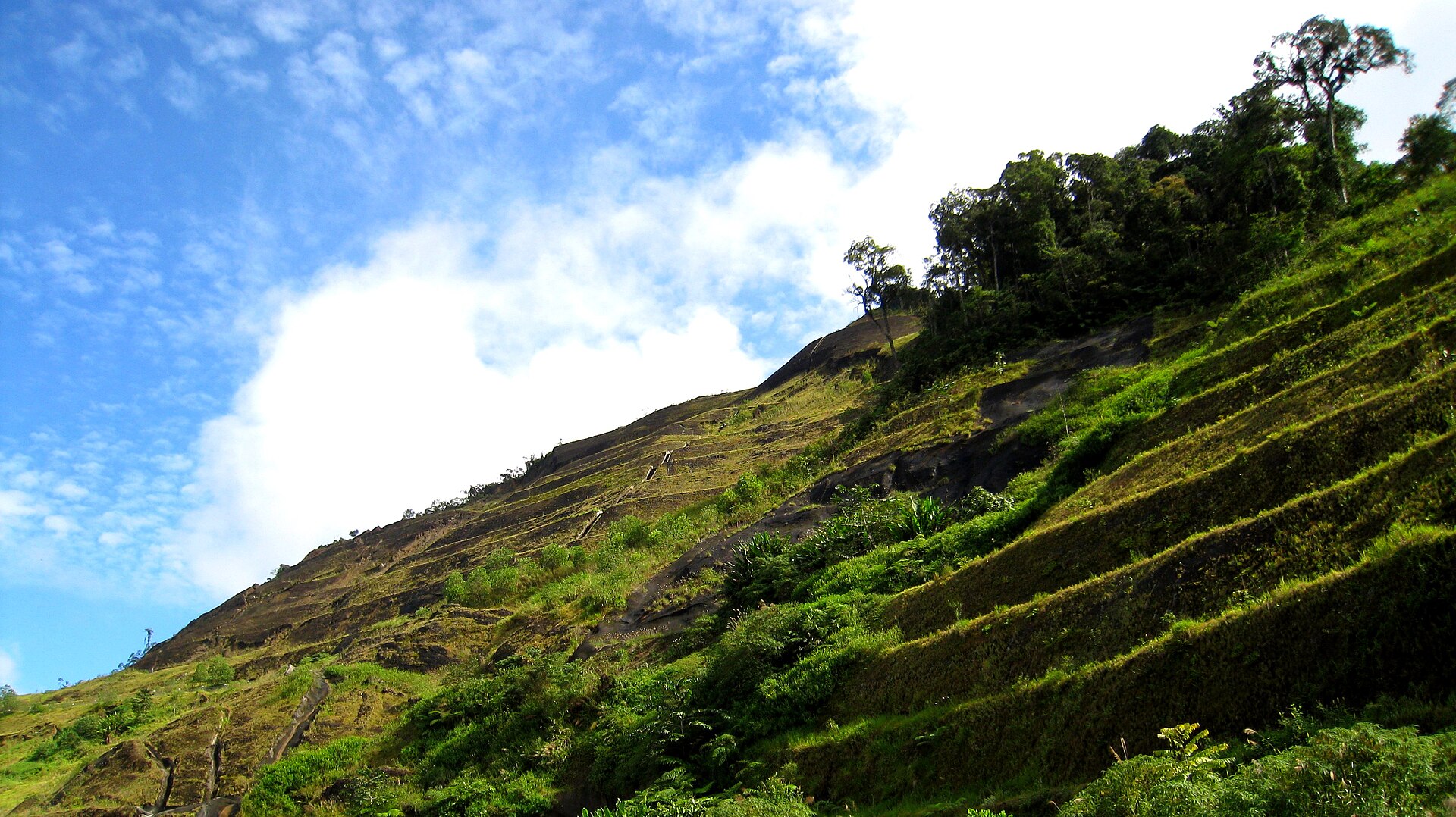 Road on the way to Cameron Highlands for long-distance highland transfer planning